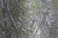 Russells Hall fibreglass roof work